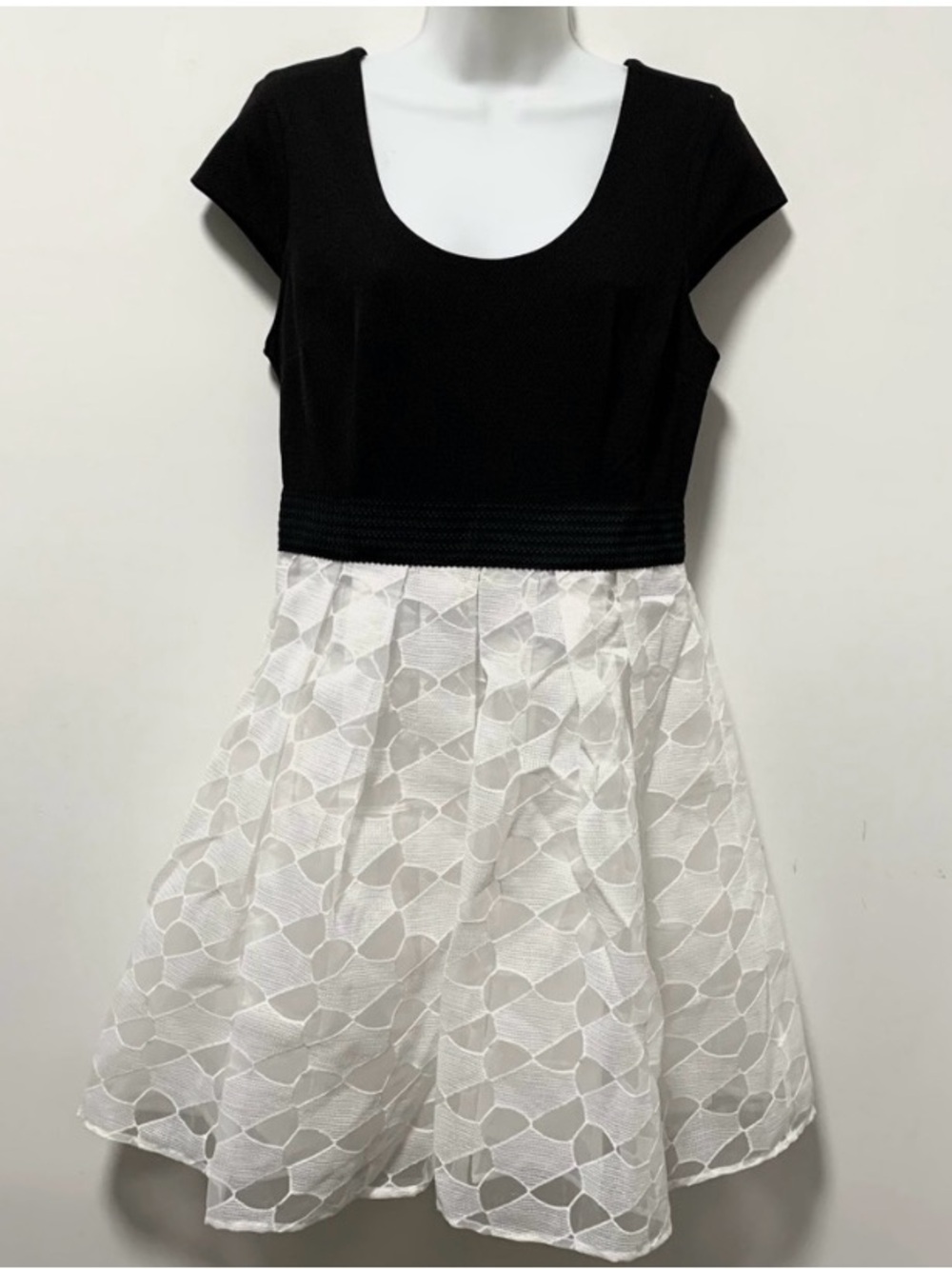 Classic Black and Ivory Organza Planty Dress